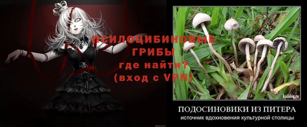 таблы Богданович