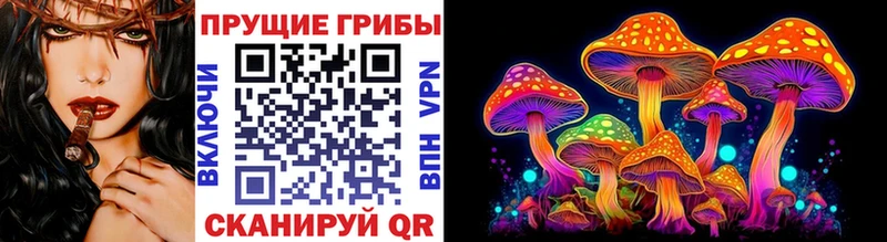 Галлюциногенные грибы прущие грибы  Кудымкар 