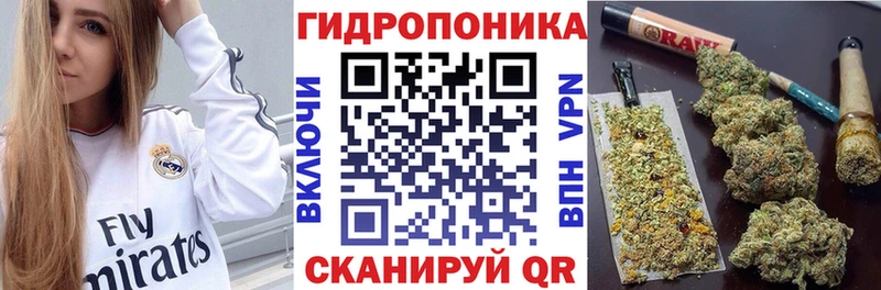 гидра вход  Кудымкар  Бошки марихуана THC 21% 